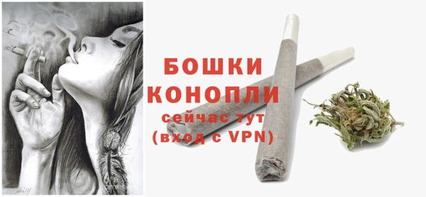 стаф Пестово