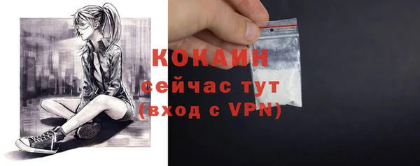 мяу мяу мука Пересвет