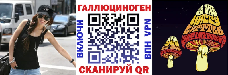 Псилоцибиновые грибы Psilocybe  где купить наркотик  Томилино 